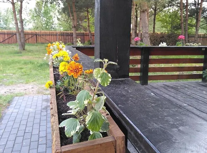 Dom Drewniany Pod Lasem Holiday home Zatory